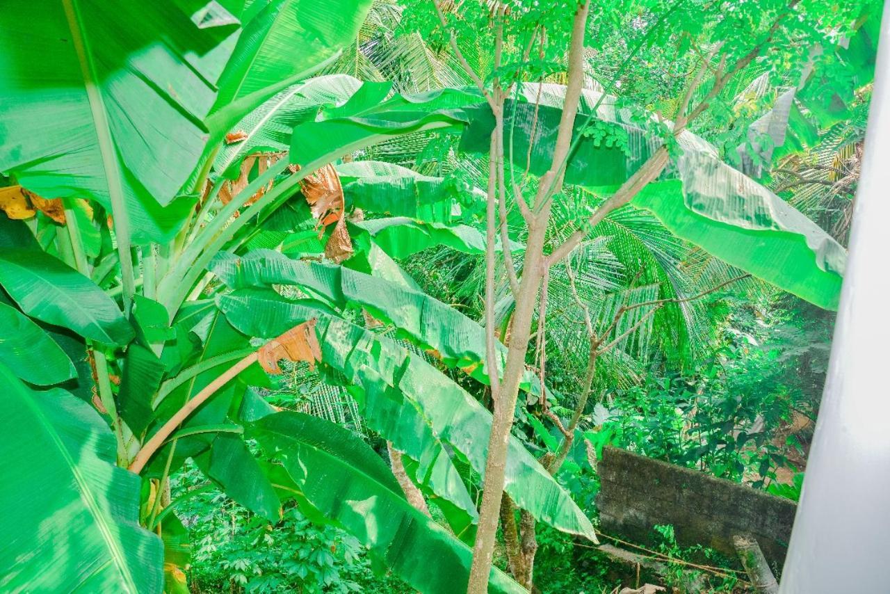 Homestay Pradeepa House