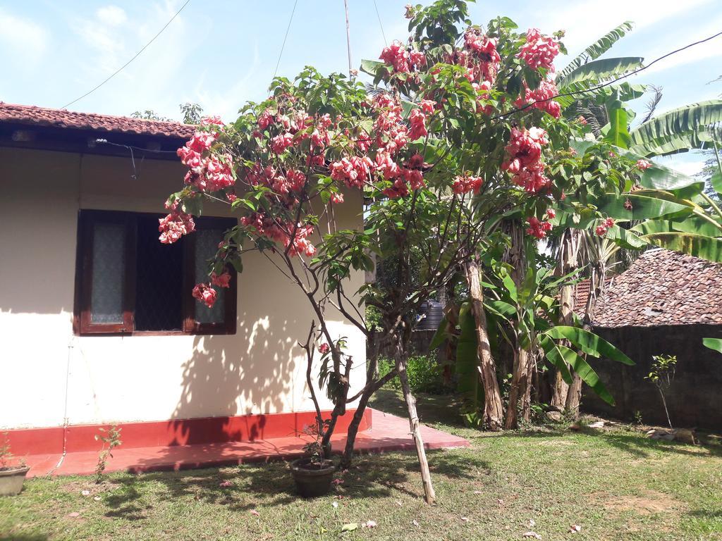 Homestay Pradeepa House Unawatuna