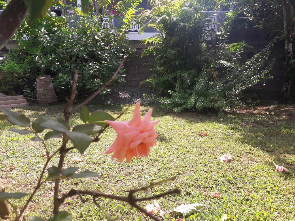 Homestay Pradeepa House *